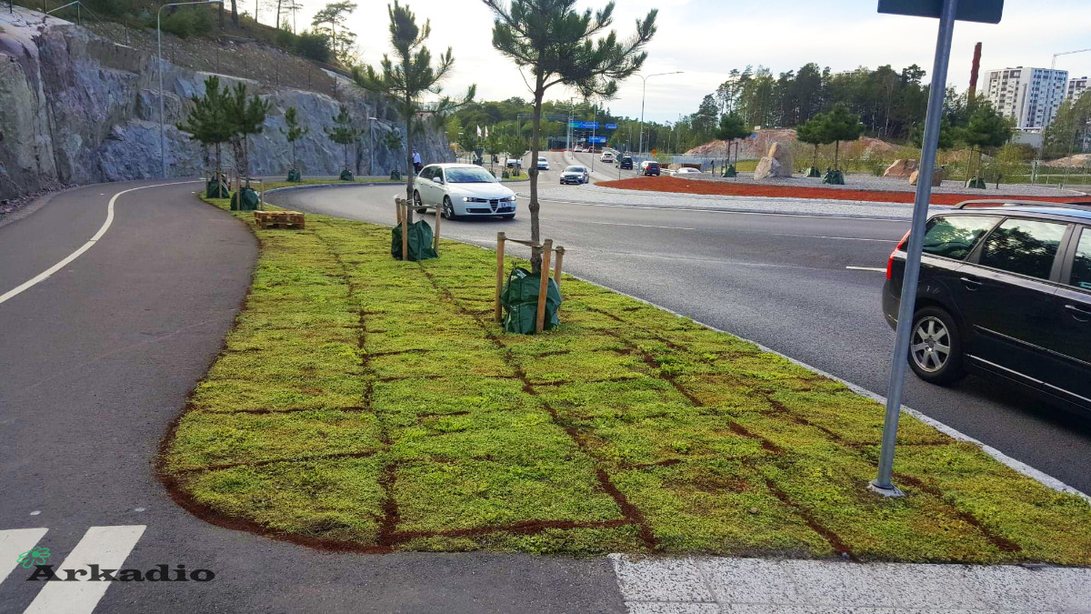 Anläggning av gräsmattor, ängsmattor, sedummattor, perennmattor
