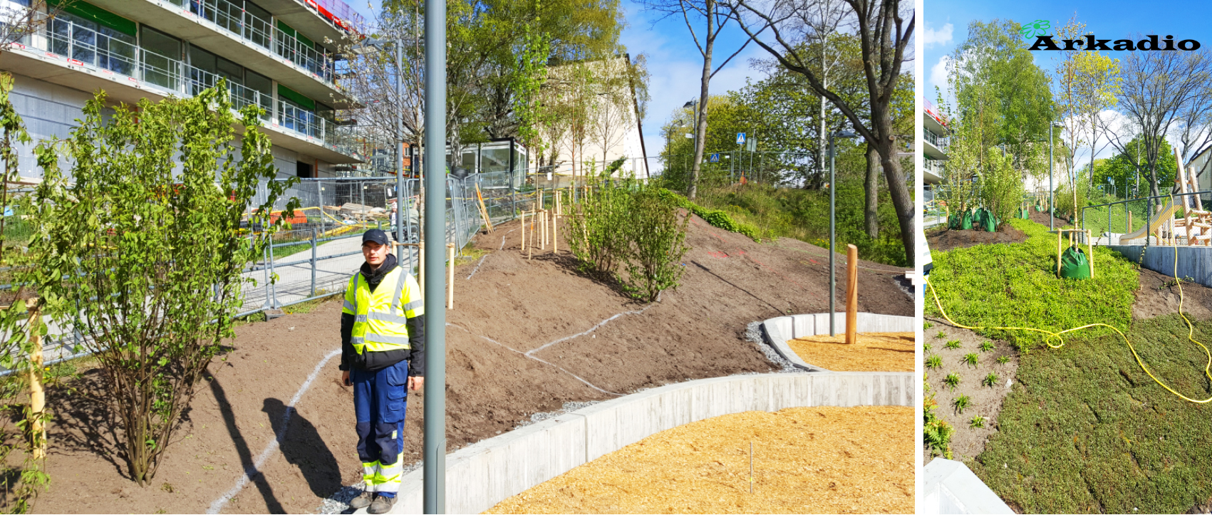 anläggning av perennmattor