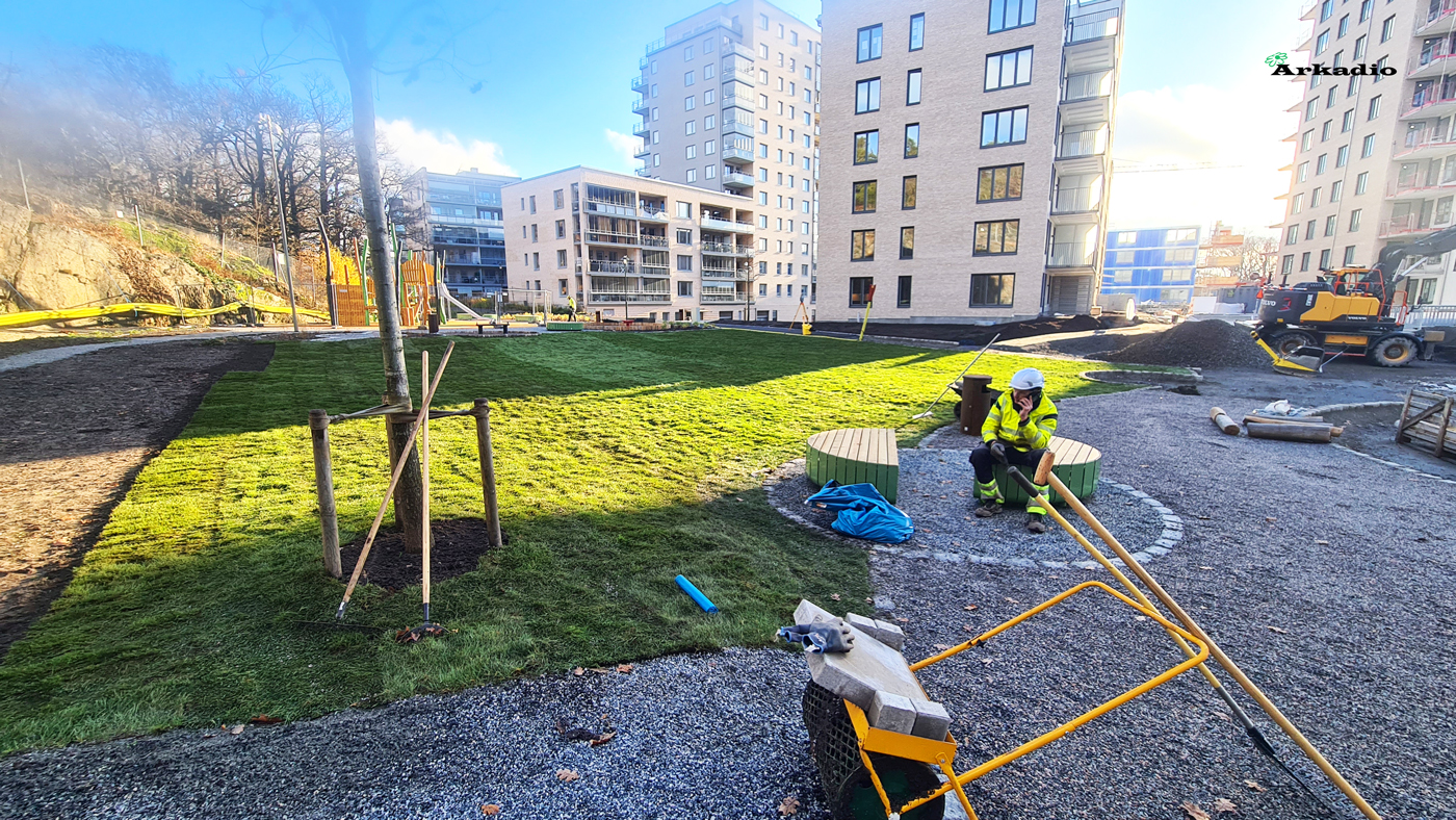 Anläggning av gräsmattor