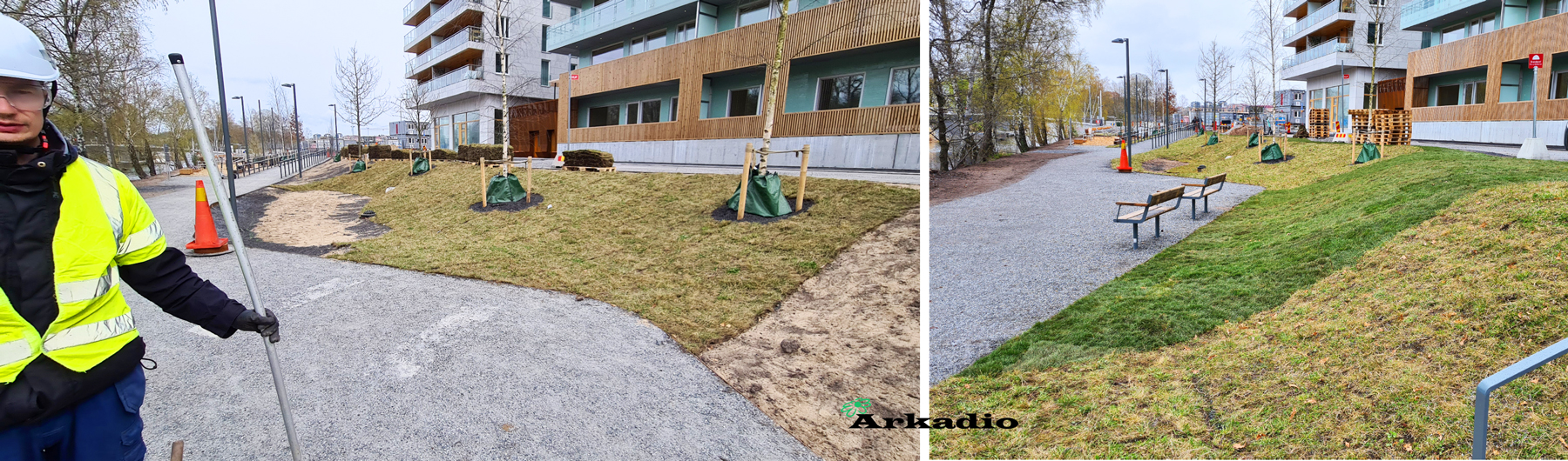 Anläggning av gräsmattor och ängsmattor