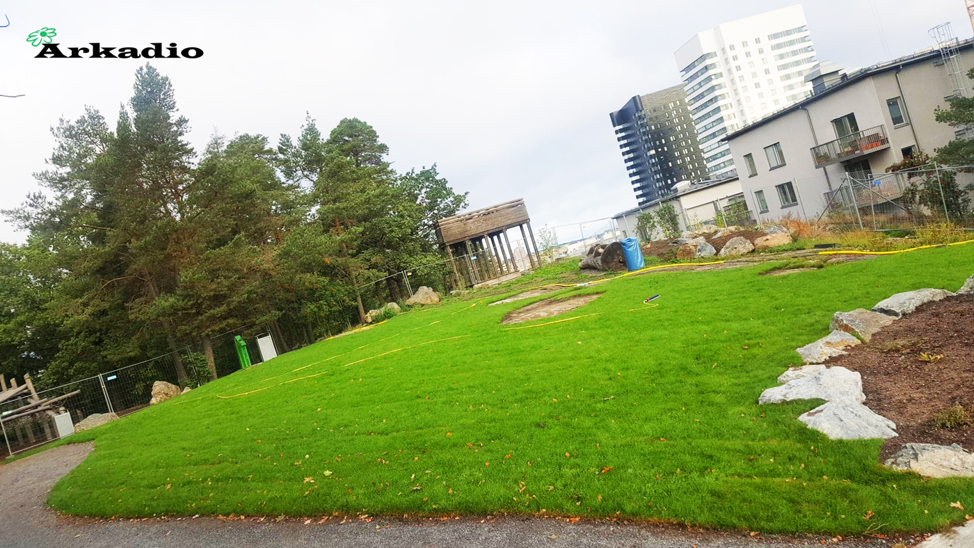 Anläggning av gräsmattor