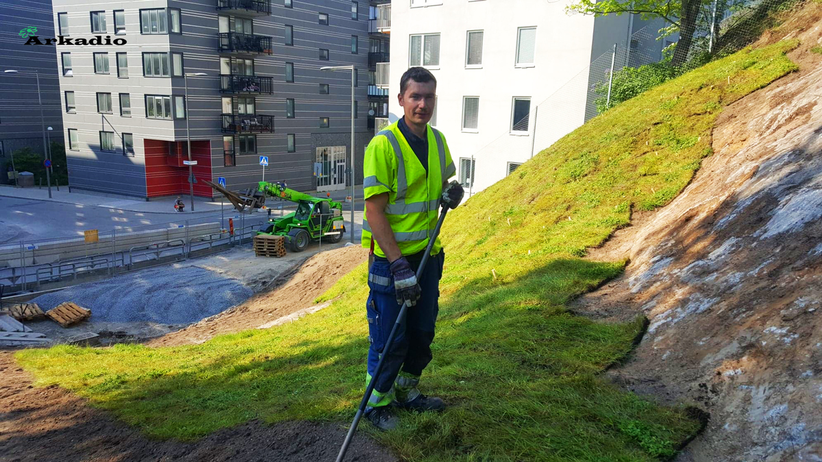 Anläggning av ängsmattor