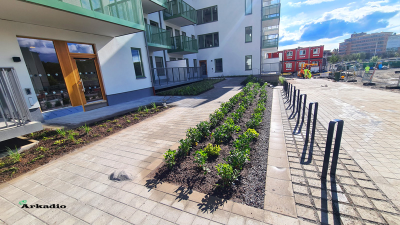 Plantering av buskar och perenner Upplands väsby