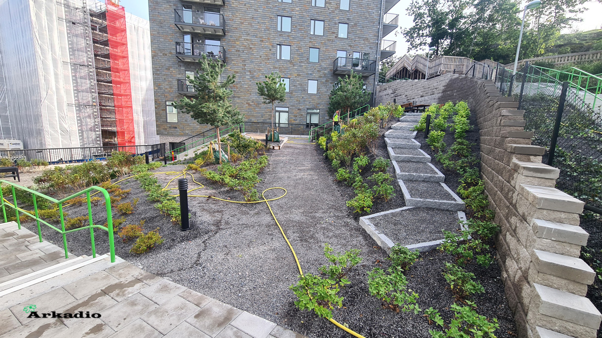 Plantering av buskar Sjöviksbacken 