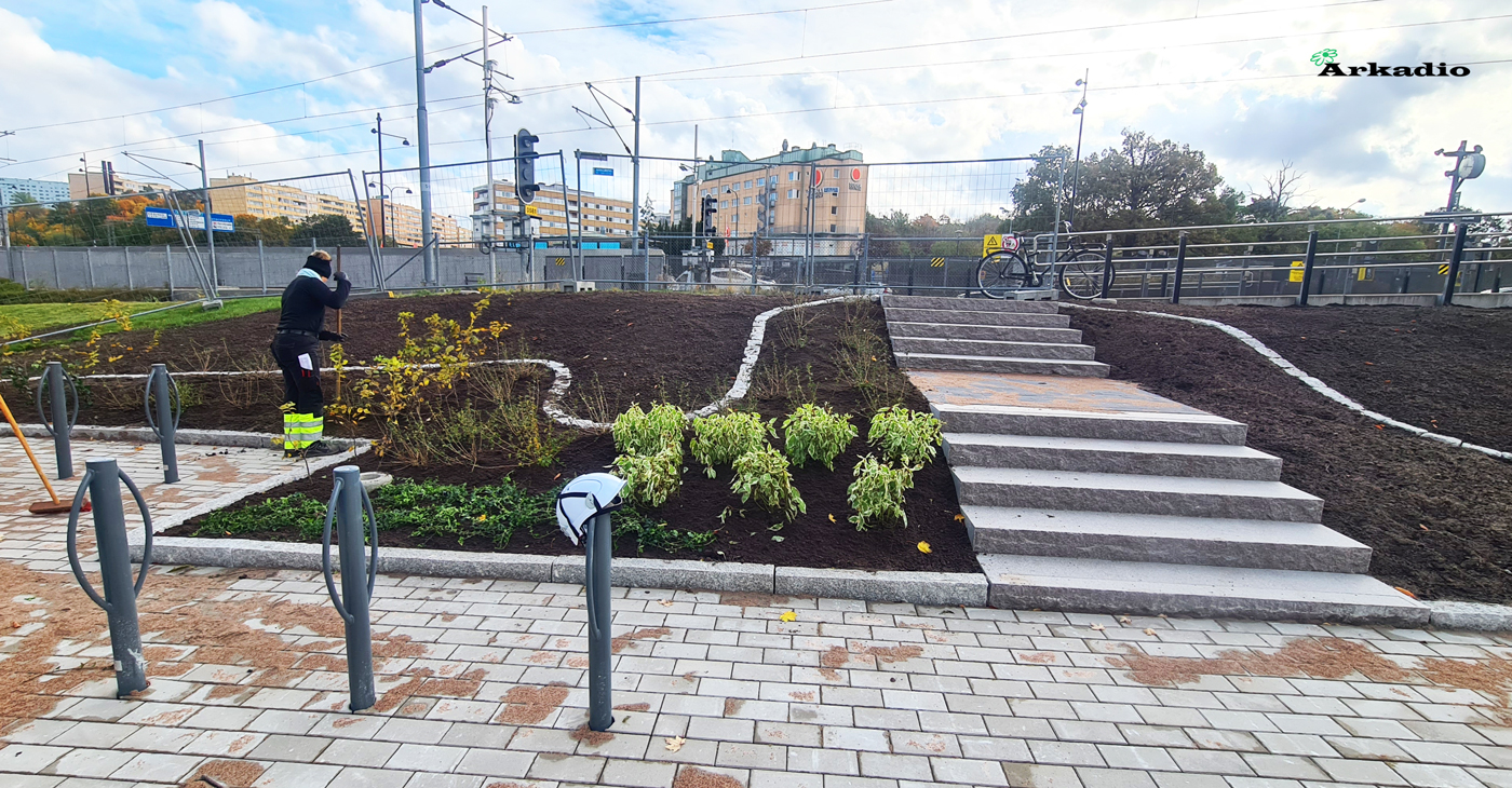 Plantering av buskar