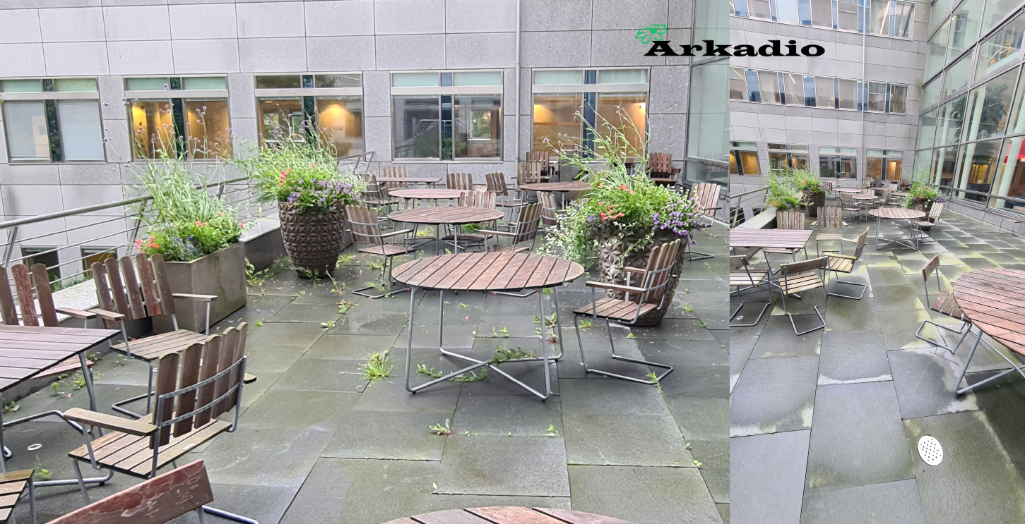 Ogräsrensning av hårdaytor