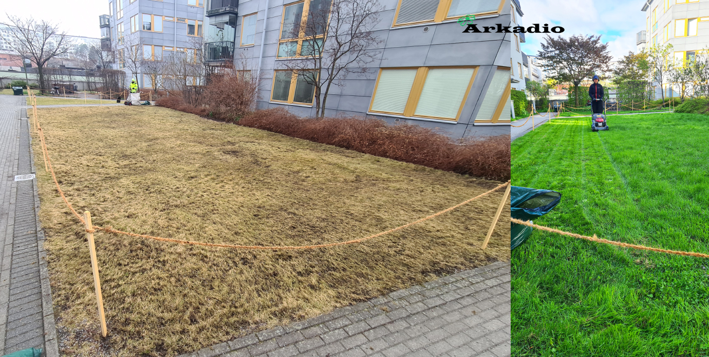 Vårstädning, gödsling, gräsklippning