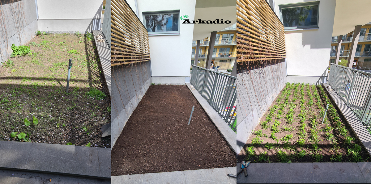 Ogräsrensning, planterings