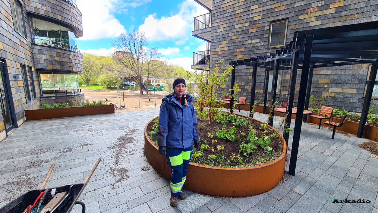 Plantering av perenner