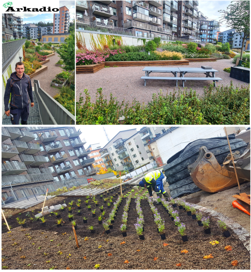 Bolinder terrass plantering av perenner