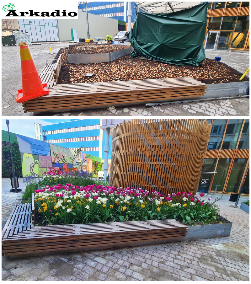 Plantering av lökar och perenner- Origo