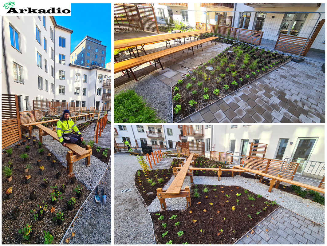 Plantering av perenner Sjöviksgläntan